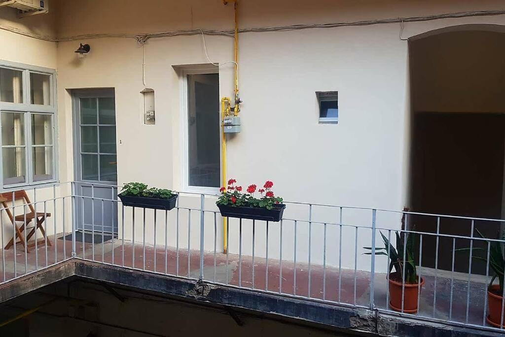 Charming Apartment In Historical City Center Timisoara Exterior photo