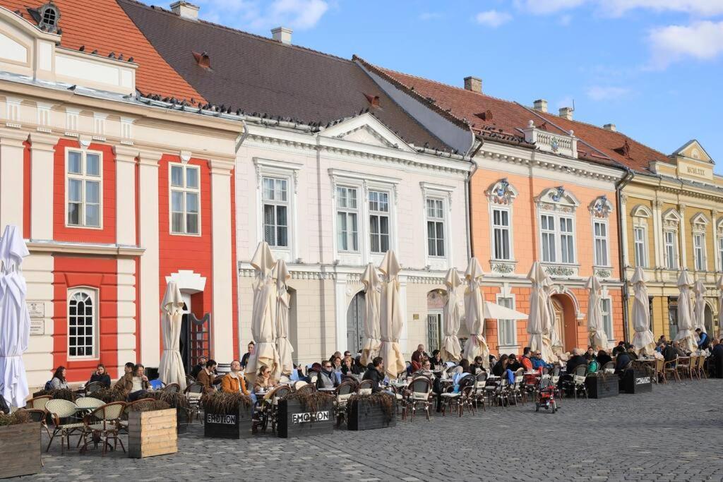 Charming Apartment In Historical City Center Timisoara Exterior photo